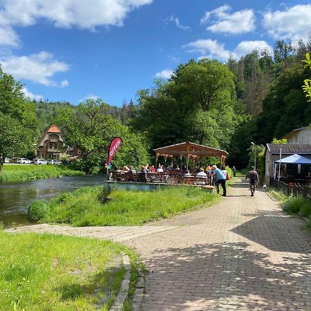 Pension Sternschnuppe, Treseburg Harz, Unmittelbar Am Wasser 塔勒 外观 照片