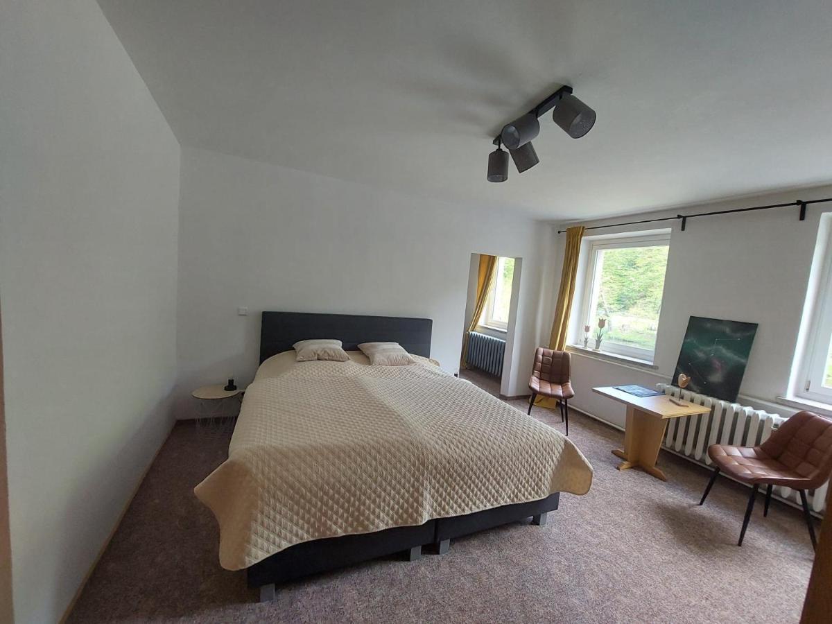 Pension Sternschnuppe, Treseburg Harz, Unmittelbar Am Wasser 塔勒 外观 照片