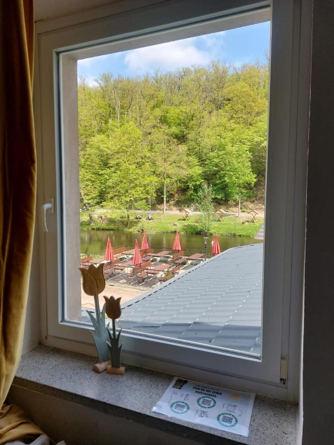 Pension Sternschnuppe, Treseburg Harz, Unmittelbar Am Wasser 塔勒 外观 照片