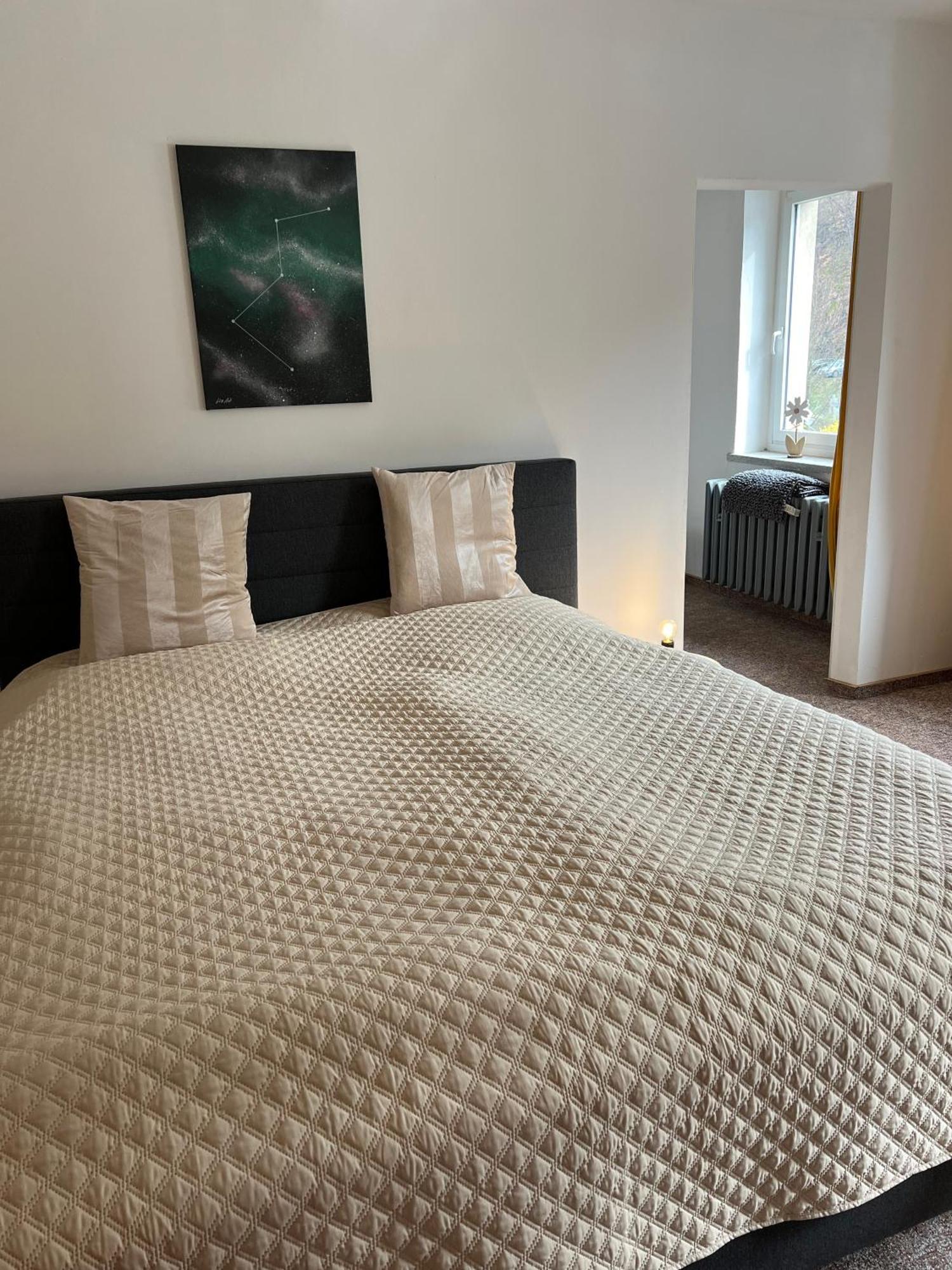 Pension Sternschnuppe, Treseburg Harz, Unmittelbar Am Wasser 塔勒 外观 照片