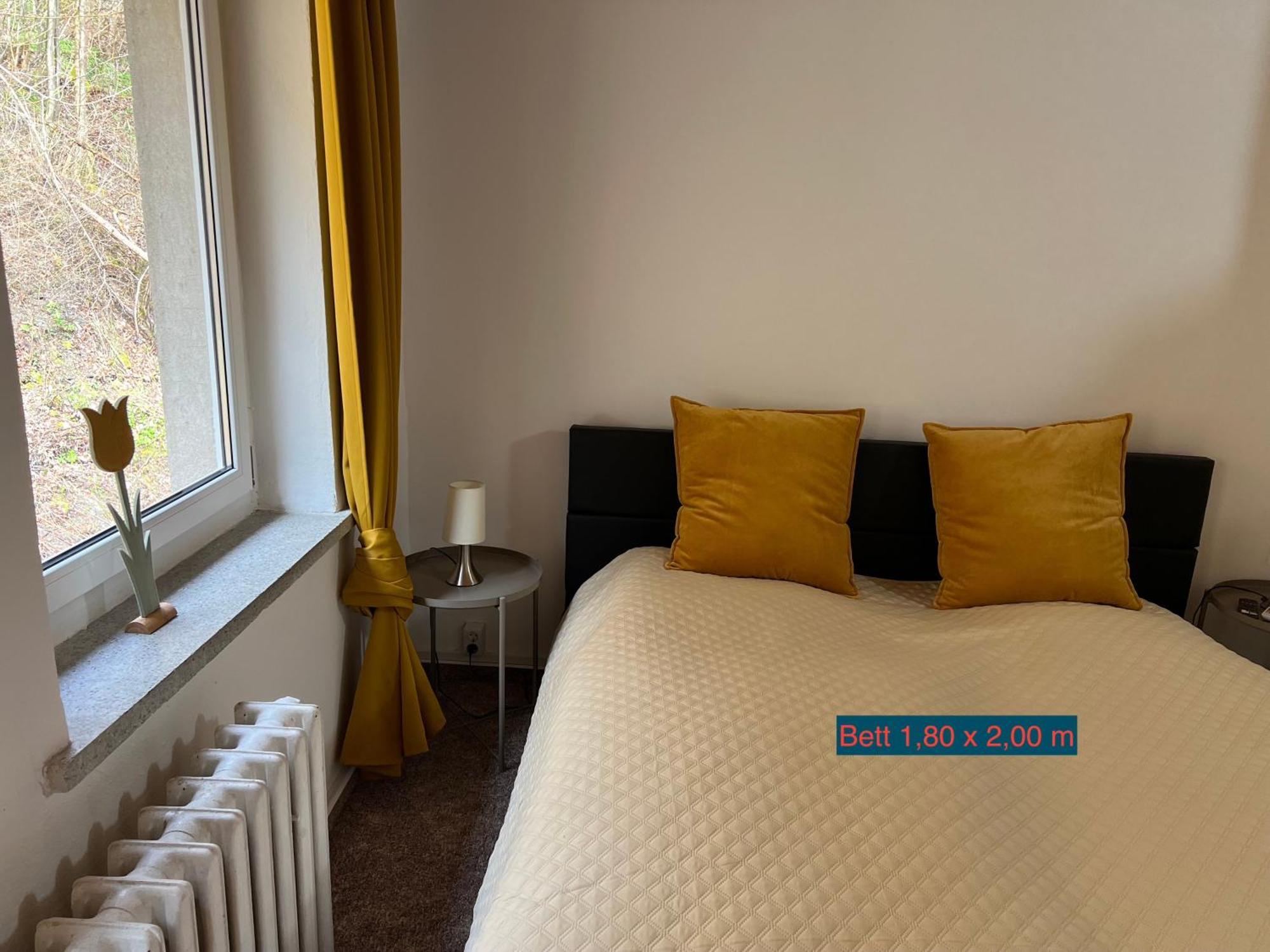 Pension Sternschnuppe, Treseburg Harz, Unmittelbar Am Wasser 塔勒 外观 照片