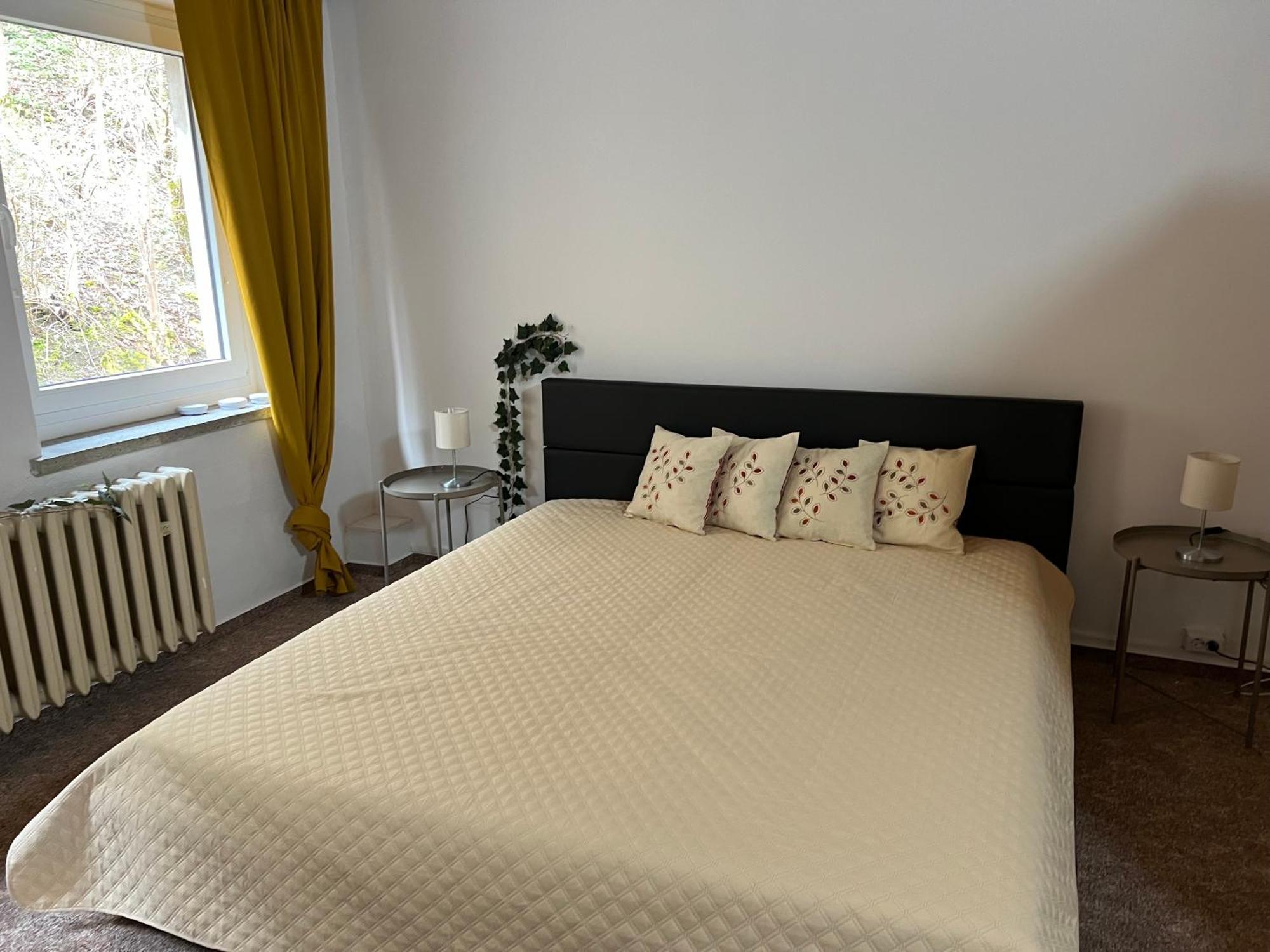 Pension Sternschnuppe, Treseburg Harz, Unmittelbar Am Wasser 塔勒 外观 照片