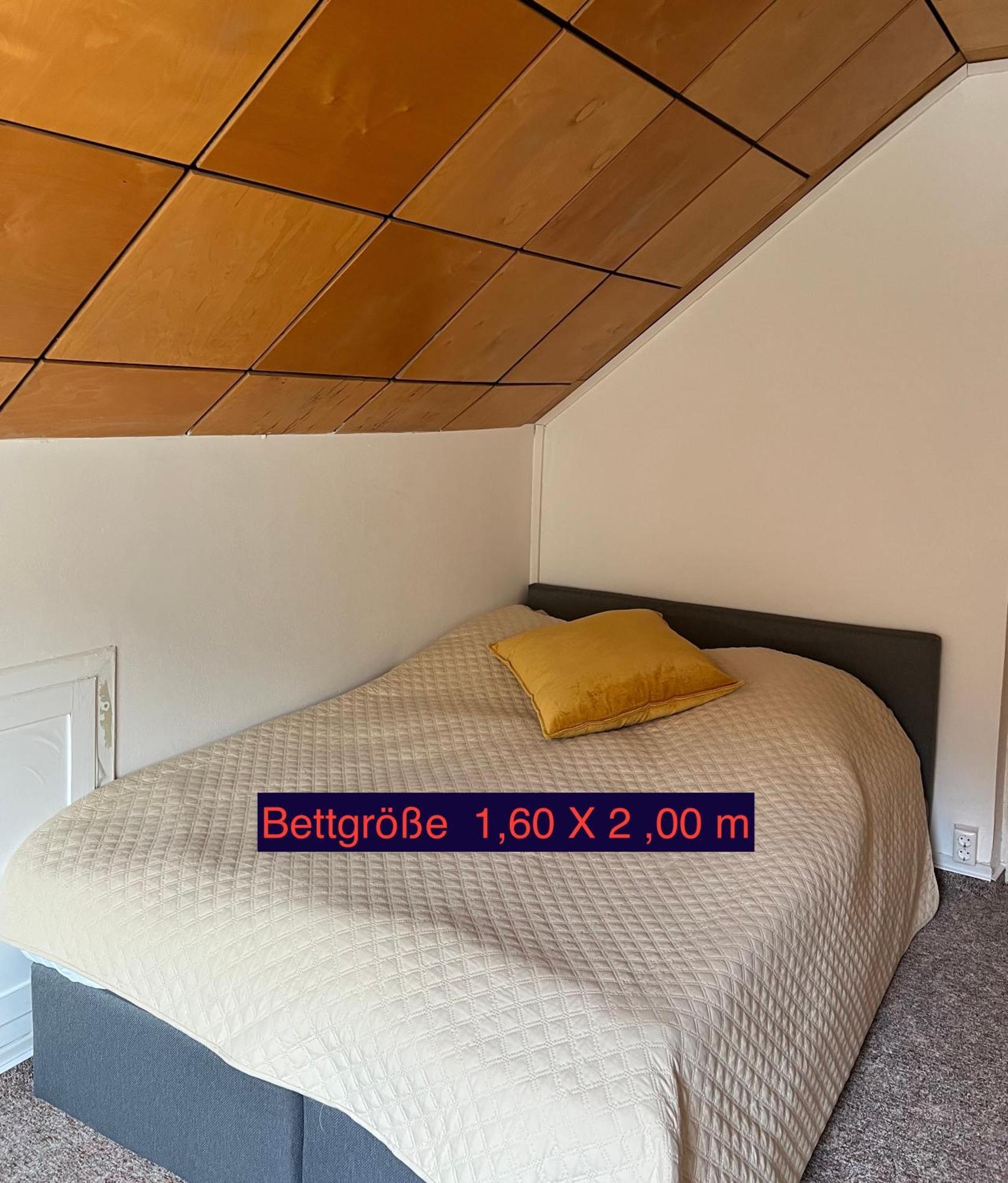 Pension Sternschnuppe, Treseburg Harz, Unmittelbar Am Wasser 塔勒 外观 照片