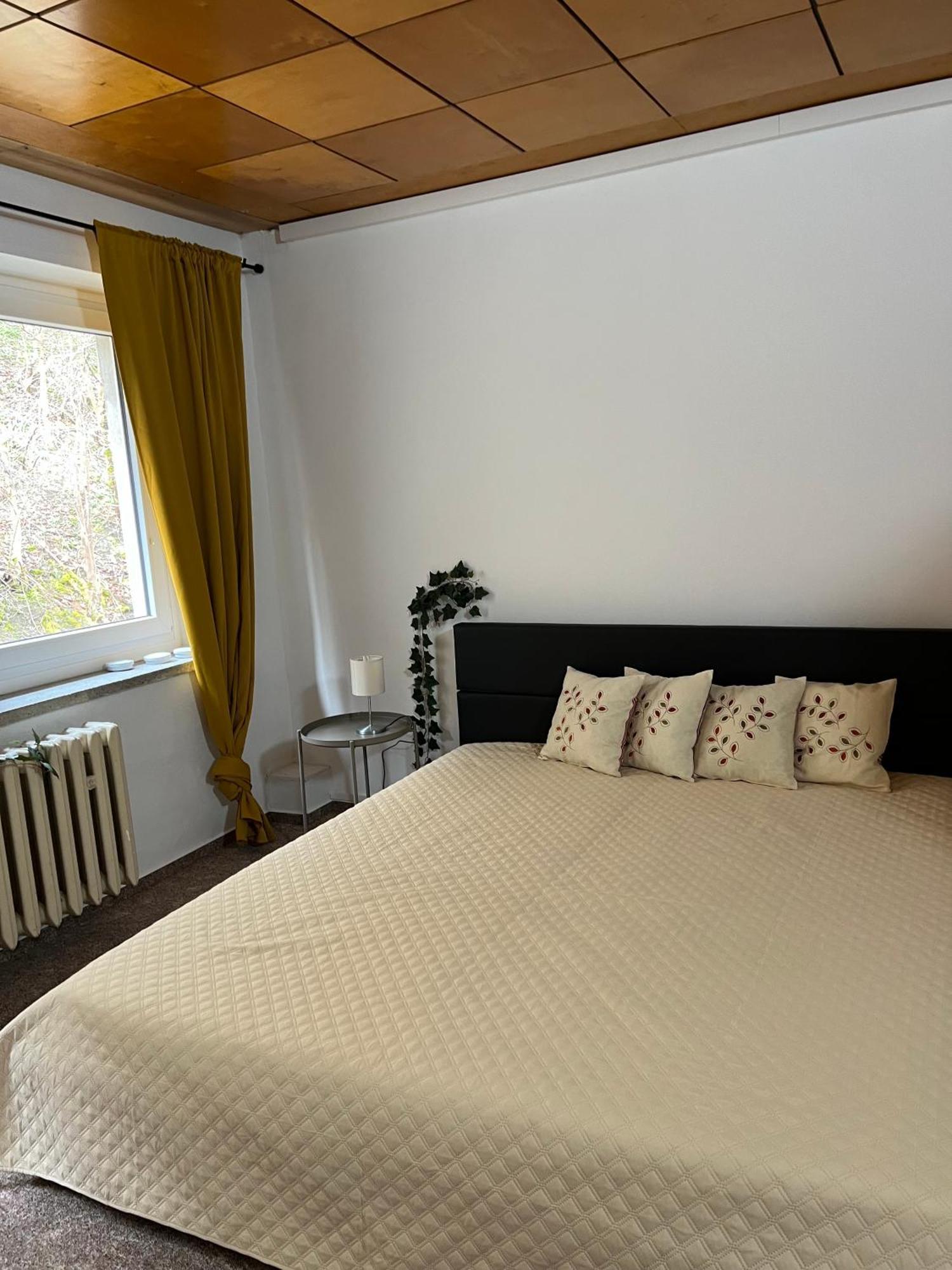Pension Sternschnuppe, Treseburg Harz, Unmittelbar Am Wasser 塔勒 外观 照片