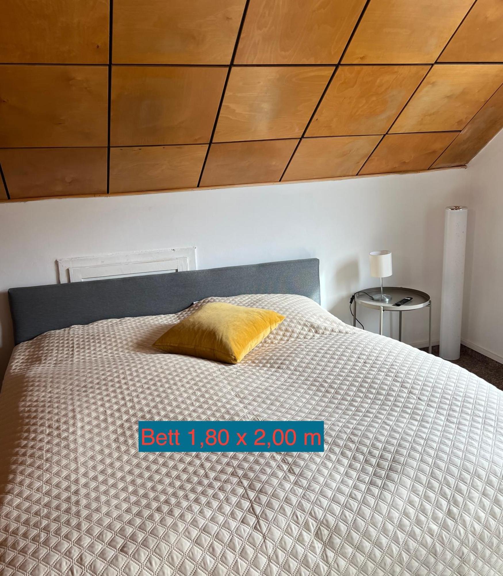 Pension Sternschnuppe, Treseburg Harz, Unmittelbar Am Wasser 塔勒 外观 照片